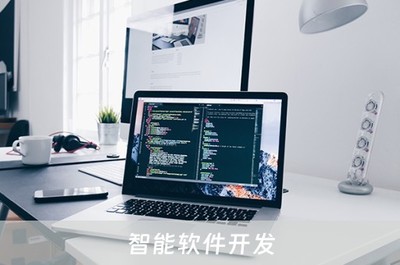 智能软件开发(智能软件开发方向怎么样)